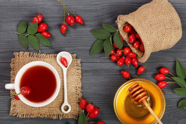 Honig für Hunde - Hundemagazin