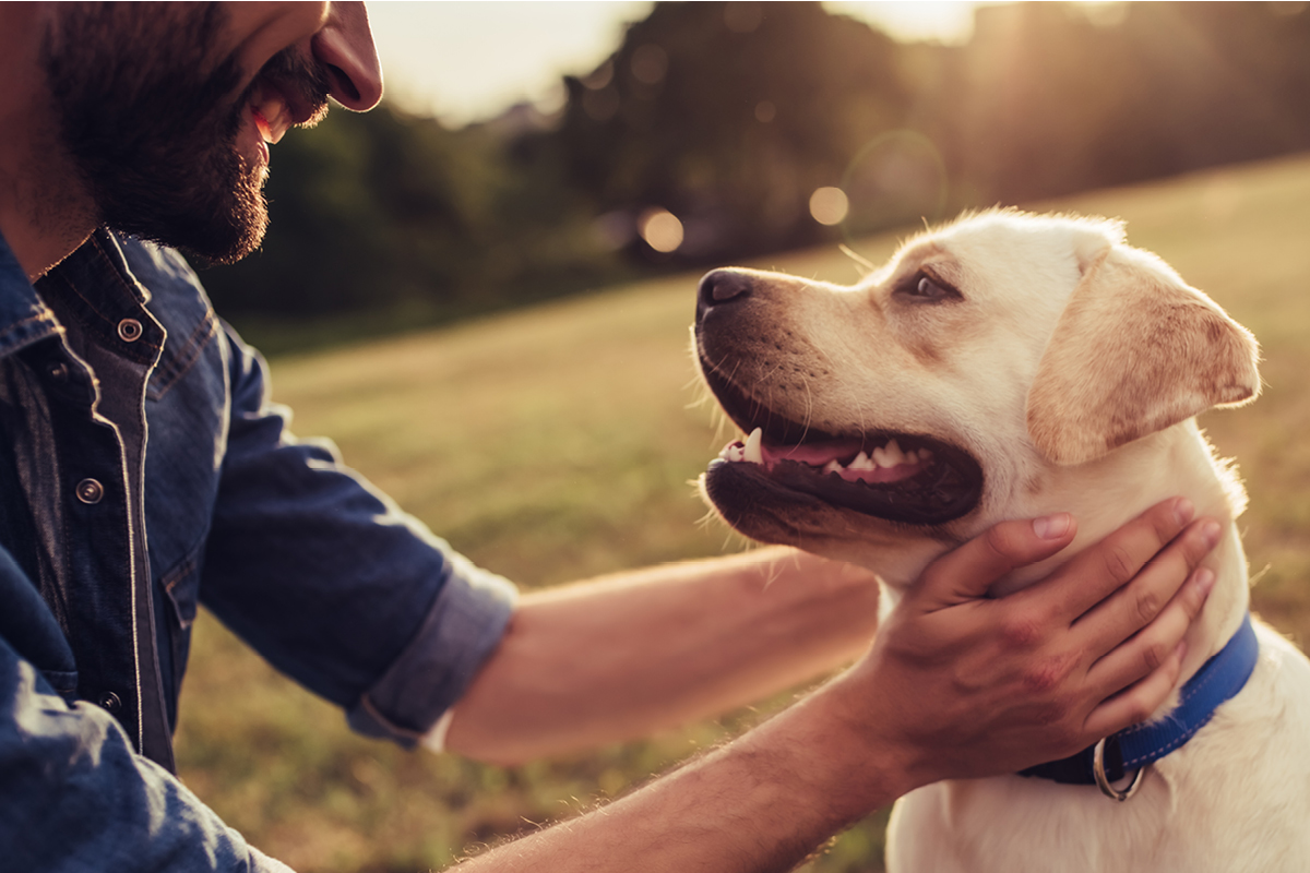 Anzeichen das der Hund Würmer hat