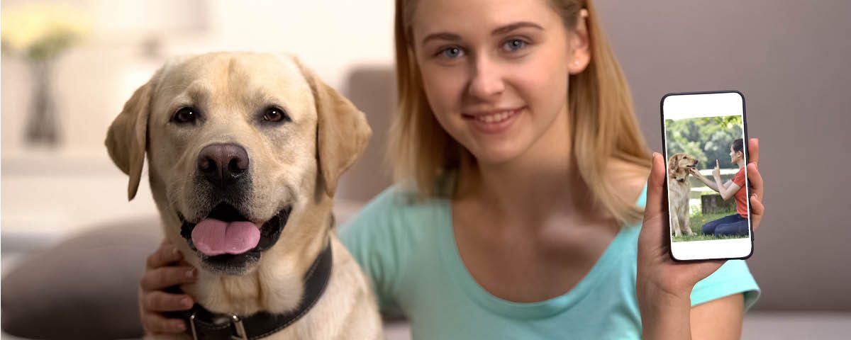 Teilnehmer bei einem Online-Hundeseminar - Vor- und Nachteile im Fokus